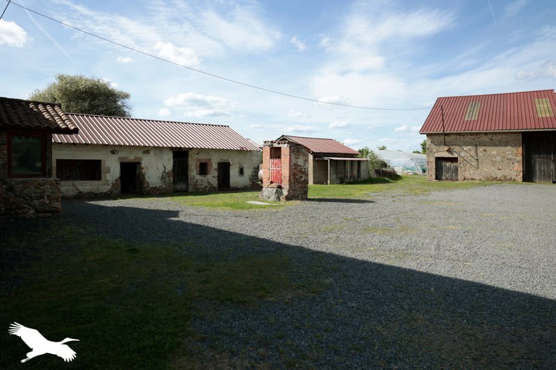 Vente Maison ST MARTIAL SUR ISOP - 5 pièces -186,7 m² - (87330)