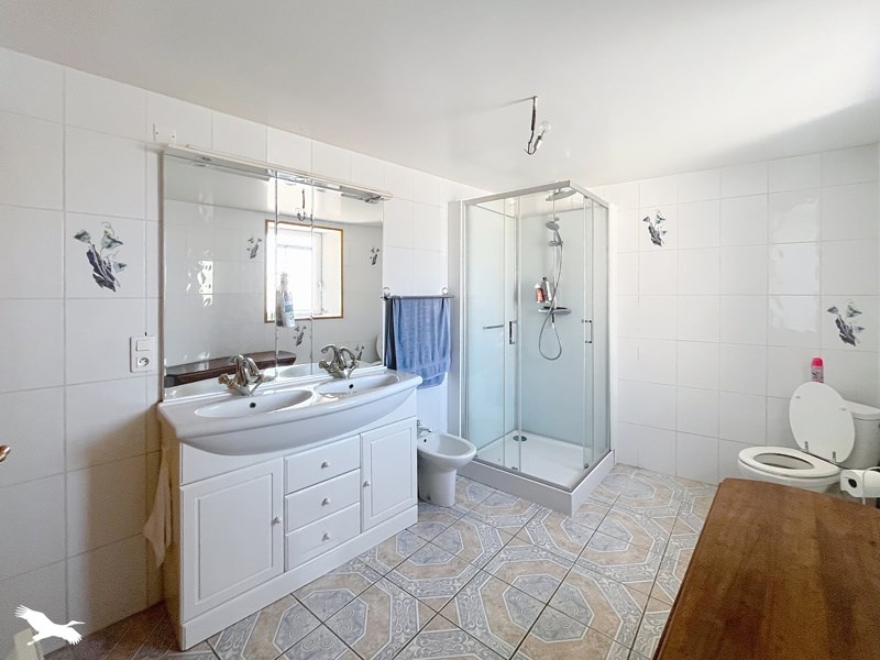 Vente Maison PEYRAT DE BELLAC - 9 pièces -179 m² - (87300)
