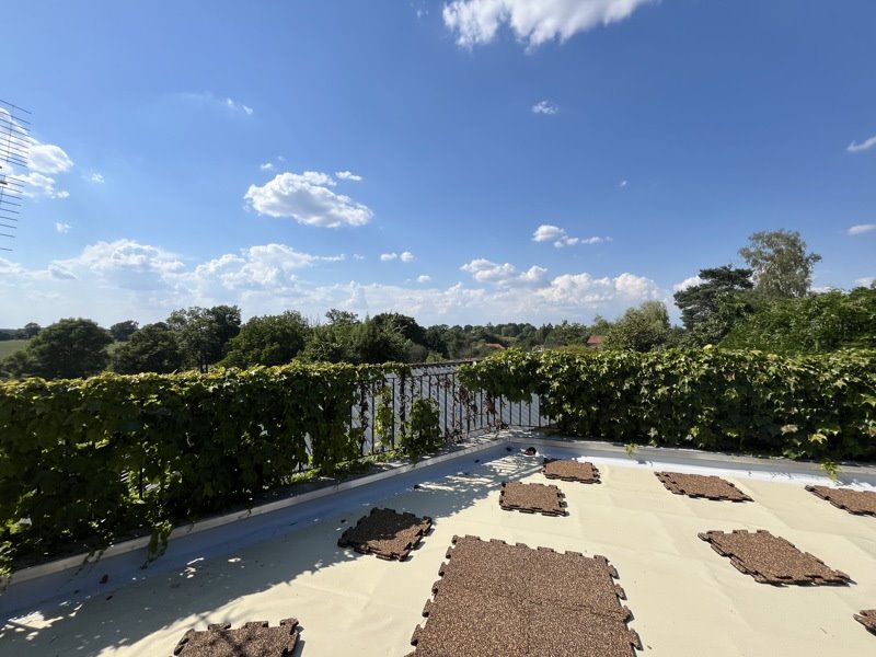Vente Maison VAL D ISSOIRE - 10 pièces -237 m² - (87330)
