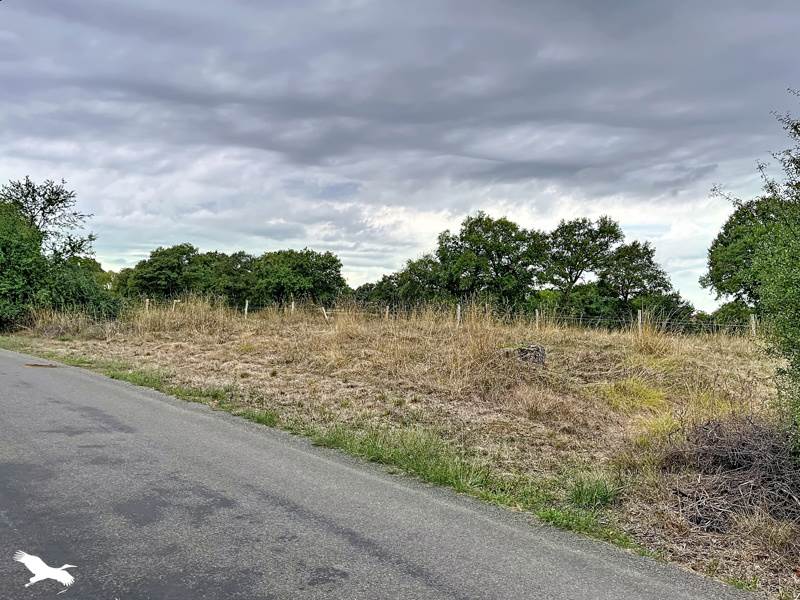 Vente Maison VAL D OIRE ET GARTEMPE - 5 pièces -80 m² - (87330)