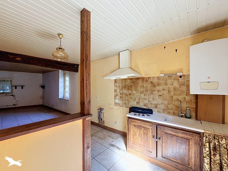 Vente Immeuble LE DORAT - 8 pièces -  247 m² - (87210)