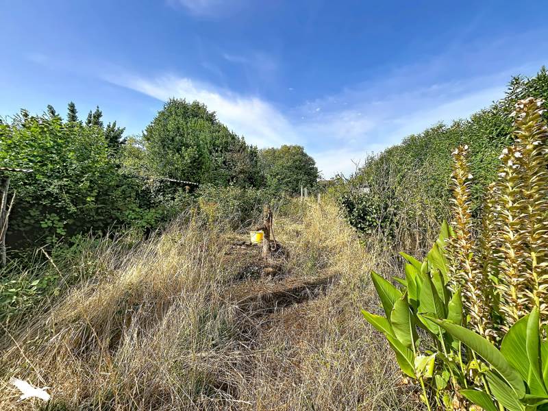 Vente Immeuble LE DORAT - 8 pièces -  247 m² - (87210)