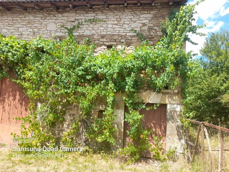 Vente Grange BLANZAC - 1 pièce -127 m² - (87300)