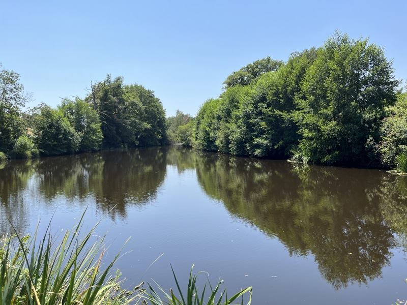 Vente Terrain DOMPIERRE LES EGLISES - -16892 m² - (87190)