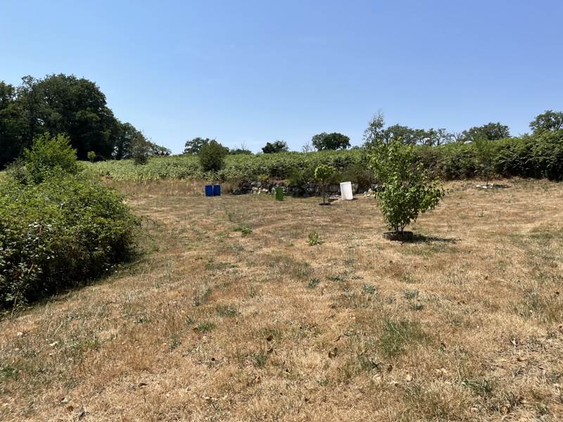 Vente Terrain DOMPIERRE LES EGLISES - -16892 m² - (87190)