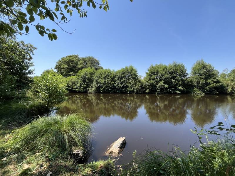 Vente Terrain DOMPIERRE LES EGLISES - -16892 m² - (87190)