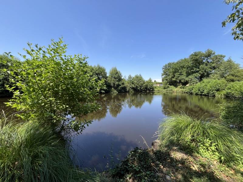 Vente Terrain DOMPIERRE LES EGLISES - -16892 m² - (87190)