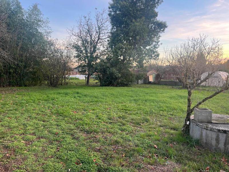 Vente Terrain VERFEIL - -505 m² - (31590)