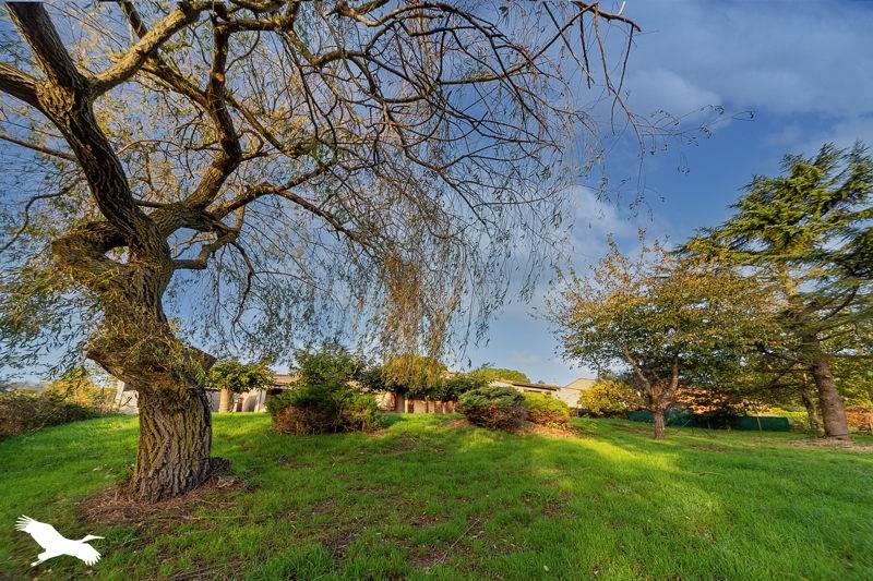 Vente Maison VERFEIL - 7 pièces -200 m² - (31590)