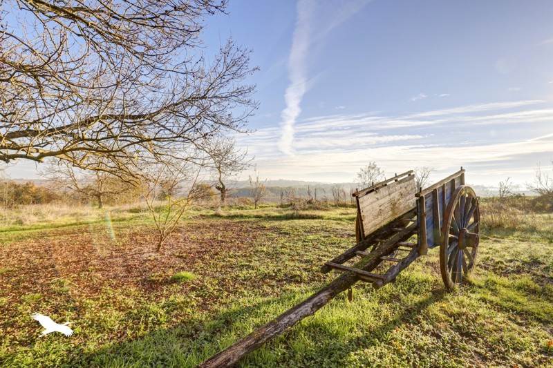 Vente Maison VERFEIL - 6 pièces -262 m² - (31590)