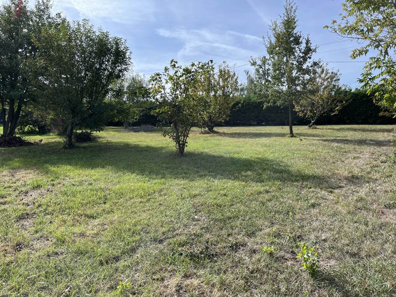Vente Terrain VERFEIL - -2000 m² - (31590)