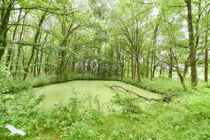 Vente Maison MARCILLY EN GAULT - 4 pièces -97 m² - (41210)