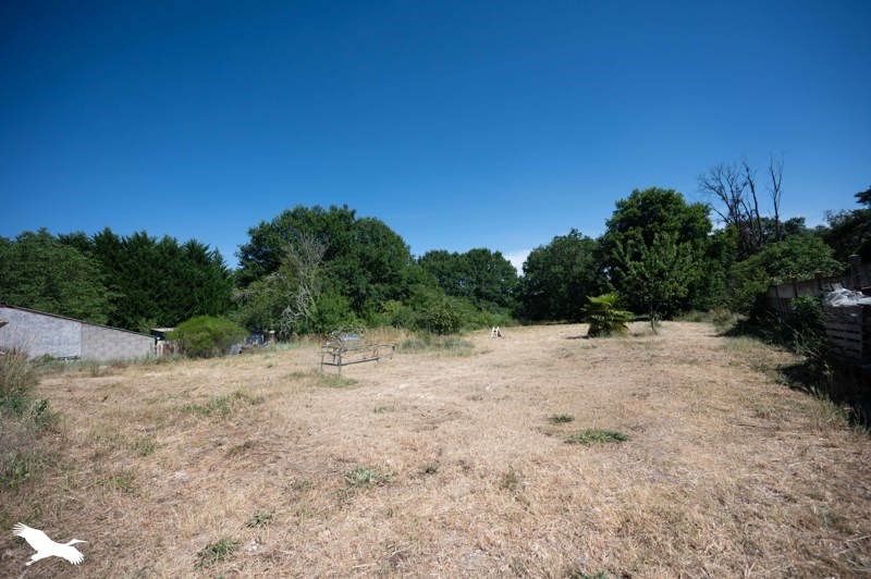 Vente Maison PRUNIERS EN SOLOGNE - 5 pièces -196 m² - (41200)