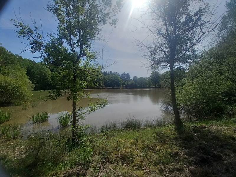 Vente Terrain LANGON SUR CHER - -20333 m² - (41320)