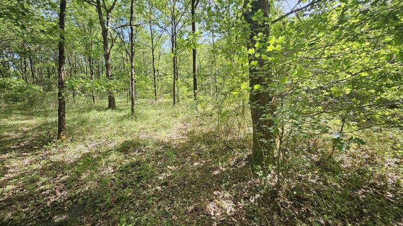 Vente Terrain LANGON SUR CHER - -20333 m² - (41320)