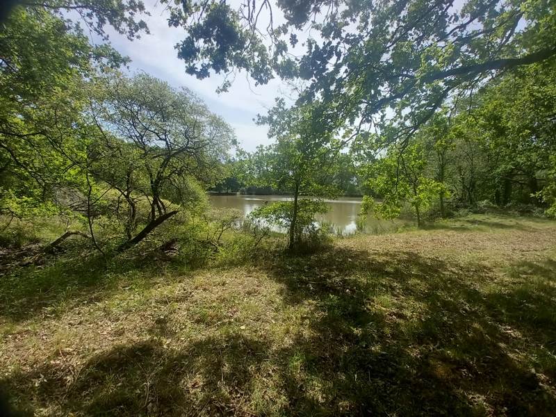 Vente Terrain LANGON SUR CHER - -20333 m² - (41320)