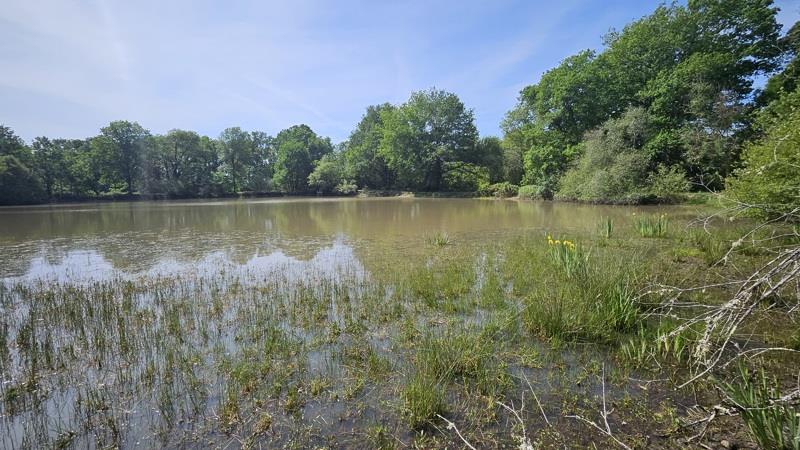 Vente Terrain LANGON SUR CHER - -20333 m² - (41320)