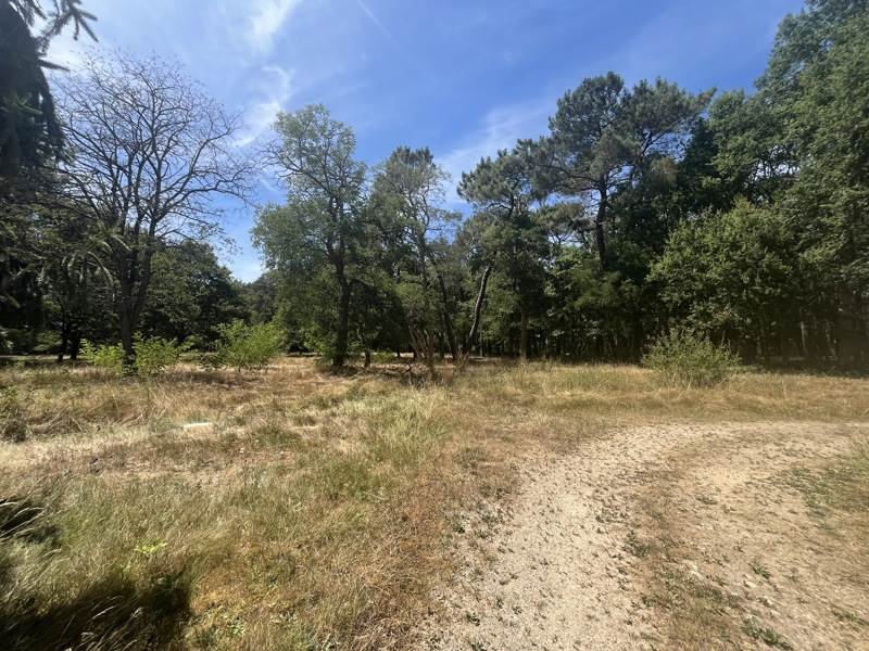 Vente Maison CHATRES SUR CHER - 10 pièces -376 m² - (41320)