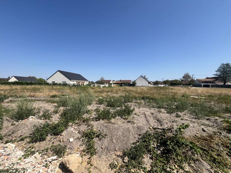 Vente Terrain PRUNIERS EN SOLOGNE - -724 m² - (41200)