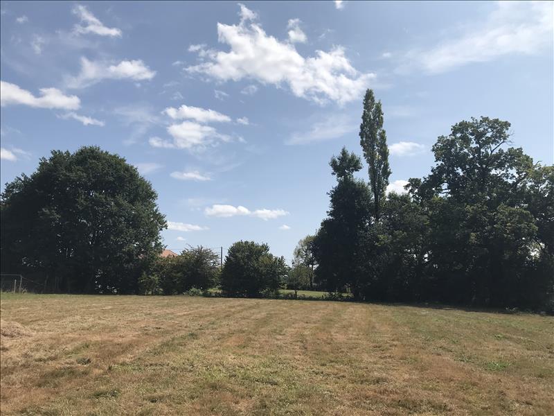 Vente Terrain ARGAGNON - -2356 m² - (64300)