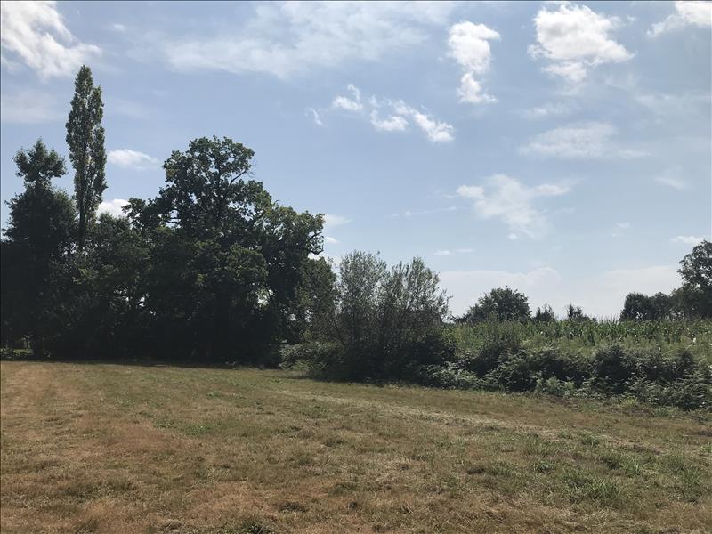 Vente Terrain ARGAGNON - -2356 m² - (64300)
