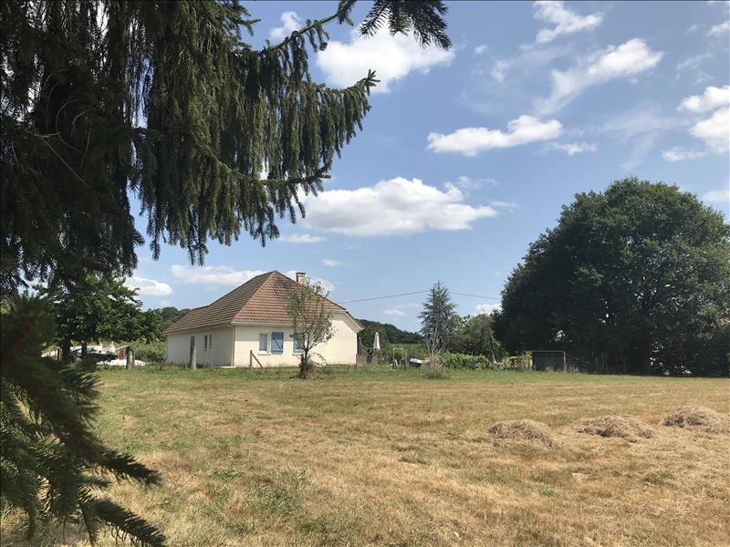 Vente Terrain ARGAGNON - -2356 m² - (64300)