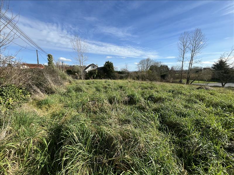 Vente Terrain CASTEIDE CANDAU - -1000 m² - (64370)