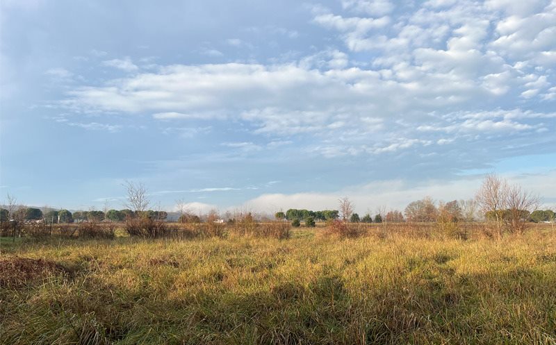 Vente Terrain ST SULPICE - -1187 m² - (81370)