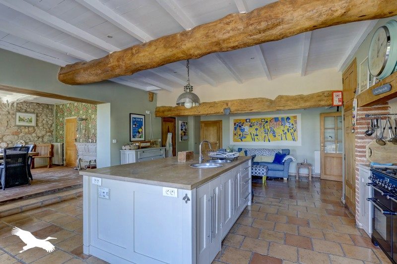 Vente Maison SALVAGNAC - 8 pièces -298 m² - (81630)