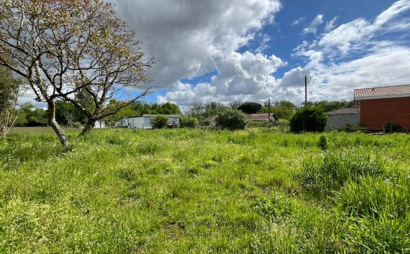 Vente Terrain IZON - -865 m² - (33450)