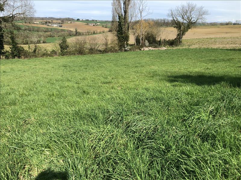 Vente Maison ESCASSEFORT - 4 pièces -152 m² - (47350)