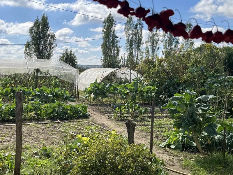 Vente Maison MARMANDE - 5 pièces -101 m² - (47200)