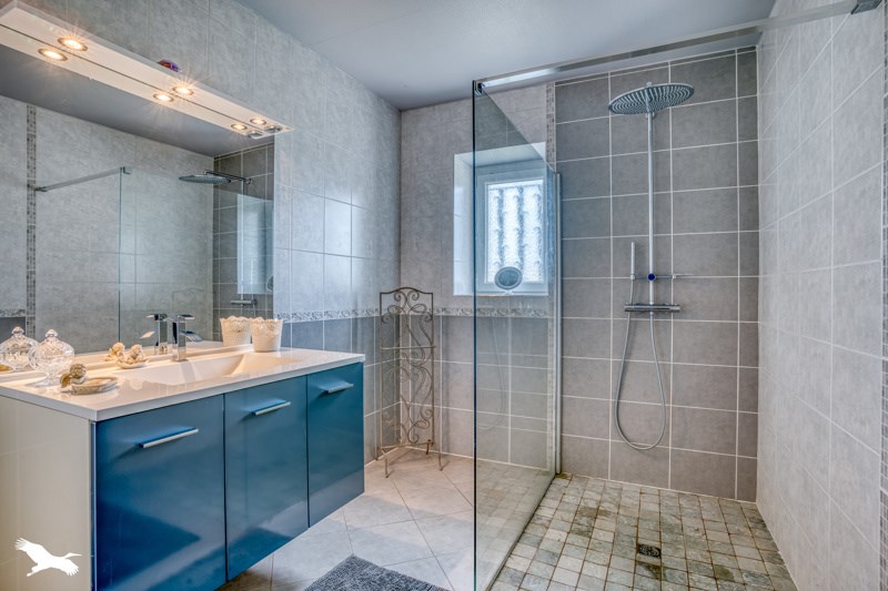 Vente Maison ST AVIT - 9 pièces -270 m² - (47350)