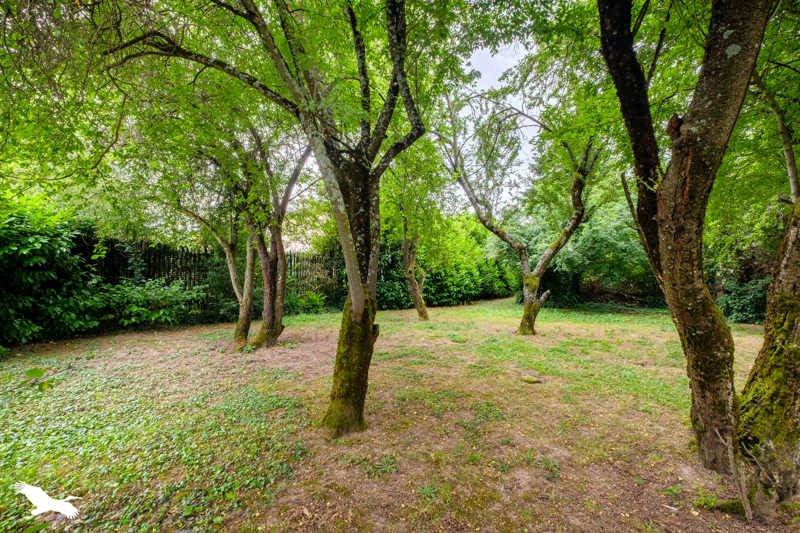 Vente Terrain MIONS - -821 m² - (69780)