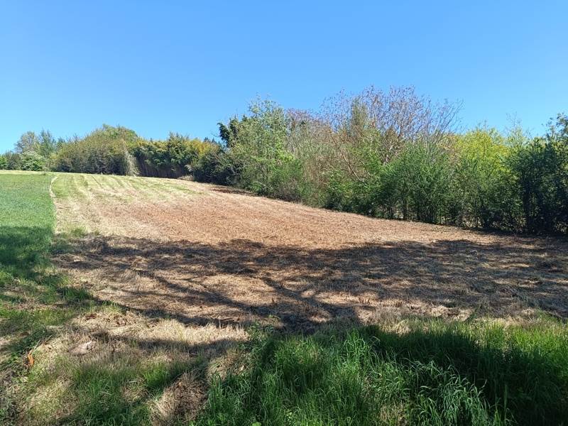 Vente Terrain CANALS - -1891 m² - (82170)