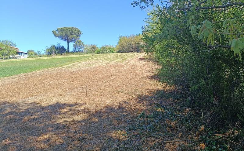 Vente Terrain CANALS - -1891 m² - (82170)
