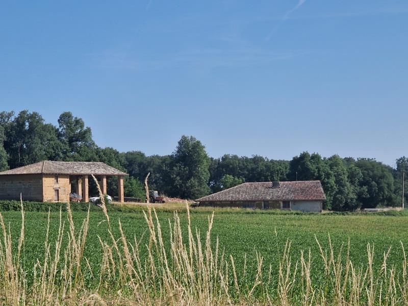 Vente Maison BEAUPUY - 3 pièces -195 m² - (82600)