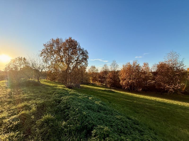Vente Maison AUCAMVILLE - 7 pièces -224 m² - (82600)