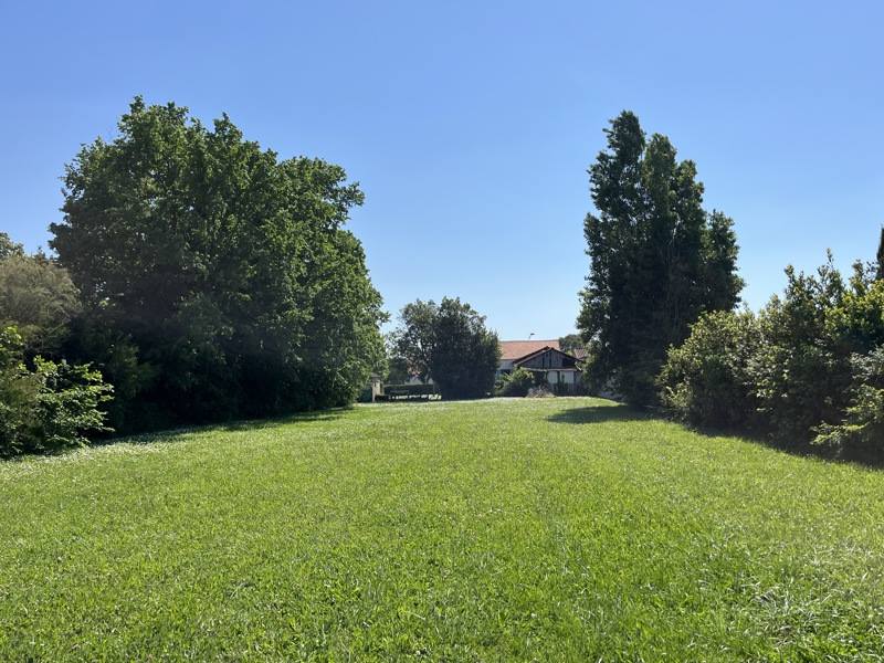 Vente Terrain LE CHATEAU D OLERON - -849 m² - (17480)