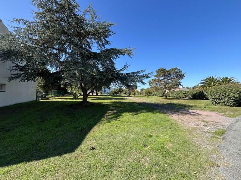 Vente Terrain LE CHATEAU D OLERON - -695 m² - (17480)