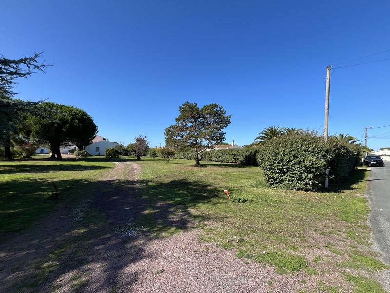 Vente Terrain LE CHATEAU D OLERON - -695 m² - (17480)
