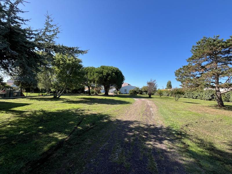 Vente Terrain LE CHATEAU D OLERON - -500 m² - (17480)