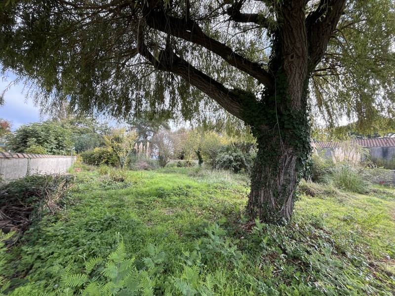 Vente Terrain DOLUS D OLERON - -605 m² - (17550)
