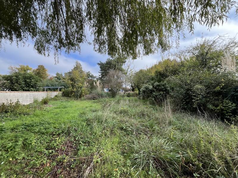 Vente Terrain DOLUS D OLERON - -605 m² - (17550)