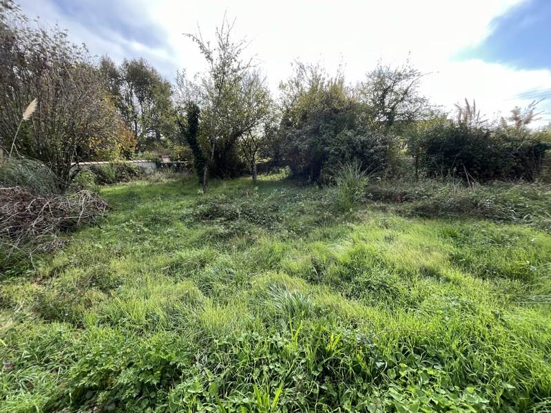 Vente Terrain DOLUS D OLERON - -605 m² - (17550)