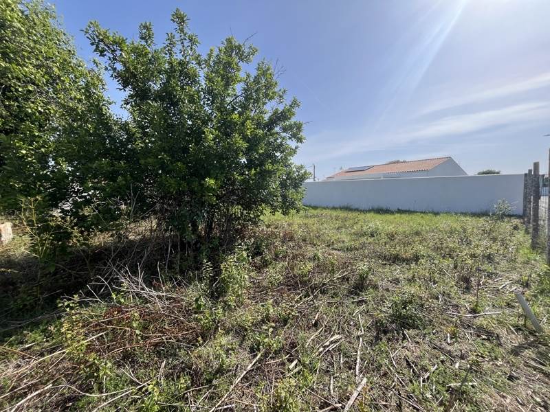 Vente Terrain LE CHATEAU D OLERON - -446 m² - (17480)