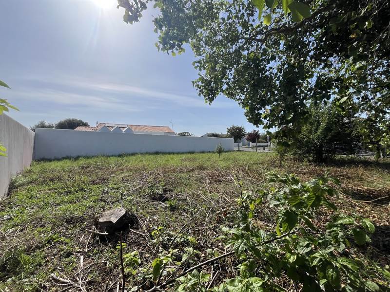 Vente Terrain LE CHATEAU D OLERON - -446 m² - (17480)