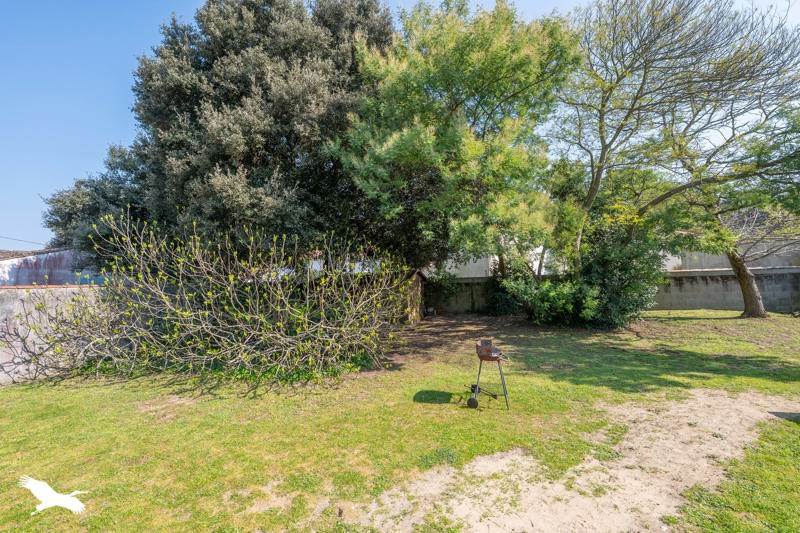 Vente Maison DOLUS D OLERON - 3 pièces -91 m² - (17550)