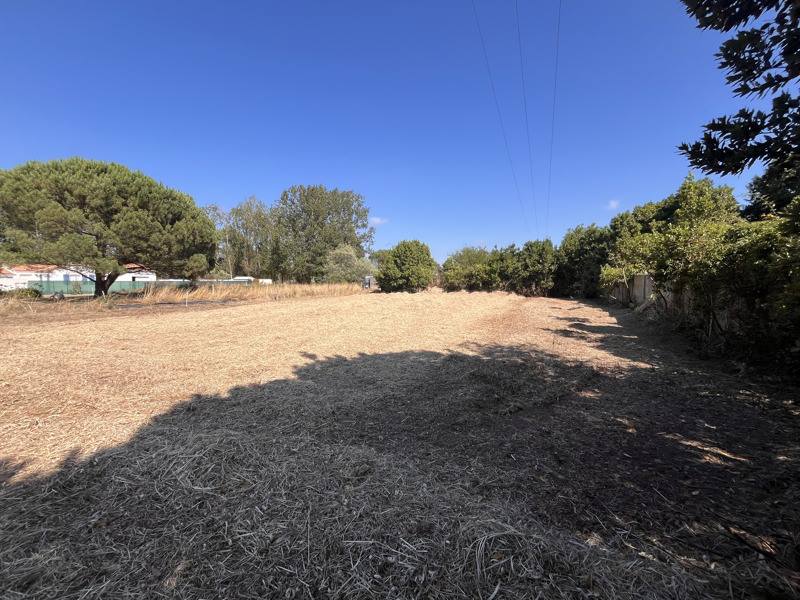 Vente Terrain LE CHATEAU D OLERON - -770 m² - (17480)
