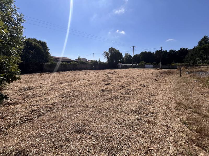 Vente Terrain LE CHATEAU D OLERON - -770 m² - (17480)